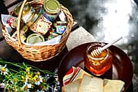 В Канашском МО открылся новый агротуристический комплекс «Сладкое золото Чувашии» (фото №1).