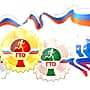 В центре тестирования ГТО в Новочебоксарске нашли нарушения.
