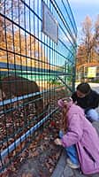 Администрация Новочебоксарска устроила экскурсию в зоопарк для семей участников спецоперации (фото №2).