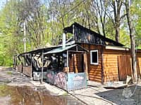 В Ельниковской роще ночью сгорело кафе (фото №1).