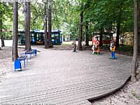 На замещение вакантной должности директора АУ«Ельниковская роща» города Новочебоксарска объявлен конкурс (фото №2).