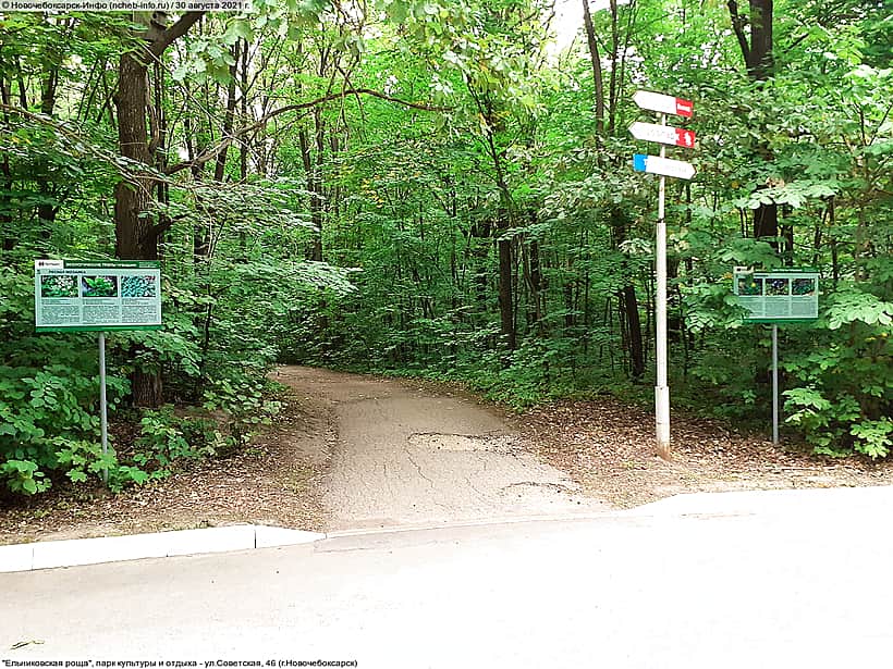 На замещение вакантной должности директора АУ«Ельниковская роща» города Новочебоксарска объявлен конкурс.