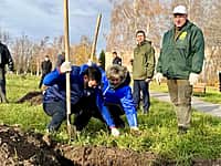 В рамках экологической акции в Новочебоксарске высадили 100 дубов и 30 кедров (фото №6).