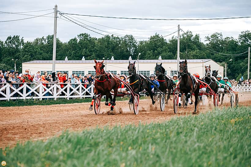 24 июня 2025 года в Новочебоксарске запланированы III Конные бега на Кубок Главы Чувашии.