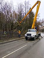 В Новочебоксарске на время проведения работ по обрезке крон деревьев временно ограничено движение транспорта.