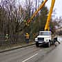 В Новочебоксарске на время проведения работ по обрезке крон деревьев временно ограничено движение транспорта.