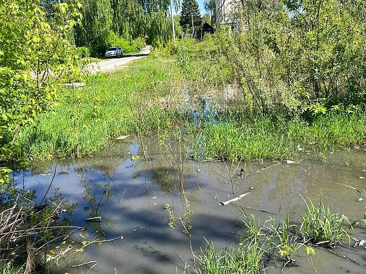 Тепличный комплекс «Новочебоксарский» обязали прекратить сброс стоков на почву.