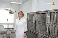 В г. Новочебоксарске открылась первая в республике современная ветеринарная клиника блочно-модульного типа (фото №1).