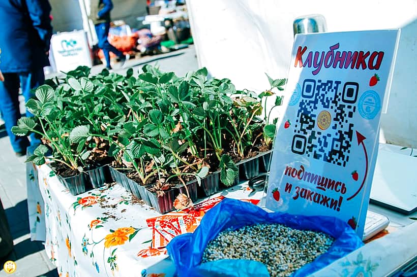 В Новочебоксарске стартует месячник ярмарок «Весна - 2025» в поддержку местных сельхозпроизводителей.