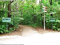 В Новочебоксарске изменены сроки конкурса на должность директора Ельниковской рощи.