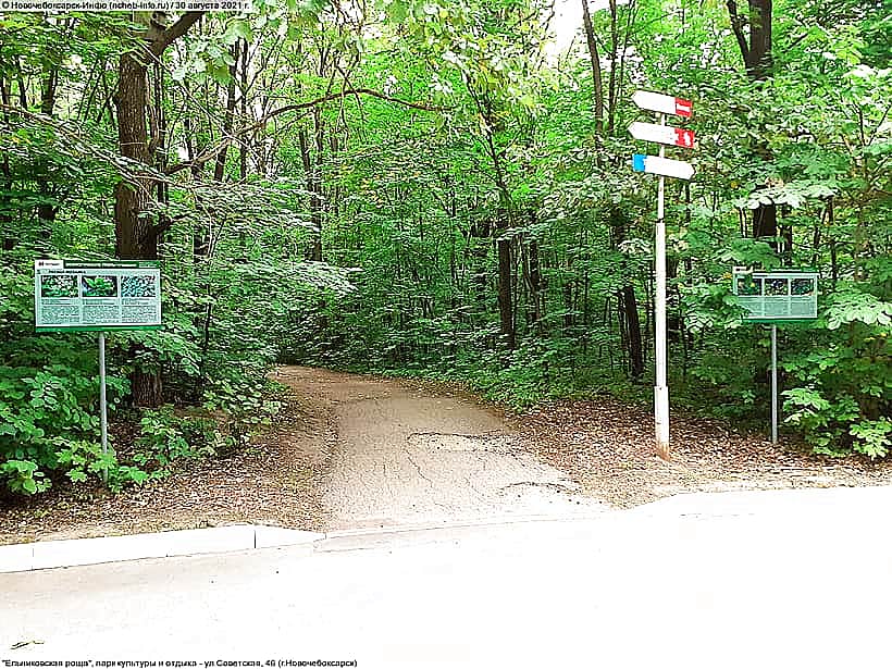 В Новочебоксарске изменены сроки конкурса на должность директора Ельниковской рощи.