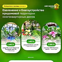 37-й дом по улице Семёнова в республиканском конкурсе на озеленение и благоустройство территорий многоквартирных домов занял первое место (фото №1).