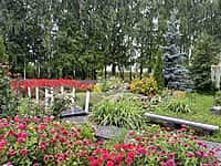 37-й дом по улице Семёнова в республиканском конкурсе на озеленение и благоустройство территорий многоквартирных домов занял первое место (фото №2).