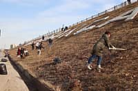 В Новочебоксарске провели субботник на Верхней набережной (фото №1).