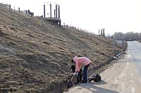 В Новочебоксарске провели субботник на Верхней набережной (фото №4).