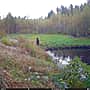 На Алатырском участке заповедника «Присурский» в фотоловушку попало купание бурых медвежат.