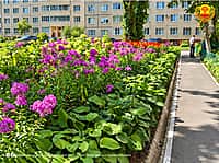 Жительницы Новочебоксарска выиграли свыше 70 тысяч рублей в республиканском конкурсе (фото №4).