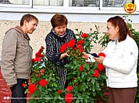 Жительницы Новочебоксарска выиграли свыше 70 тысяч рублей в республиканском конкурсе (фото №1).