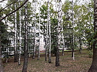 Многоквартирный жилой дом. 30 августа 2021 (пн).