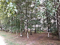 Многоквартирный жилой дом. 30 августа 2021 (пн).