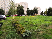 Многоквартирный жилой дом. 14 августа 2021 (сб).