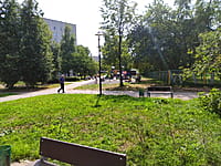 Аллея ветеранов Великой Отечественной войны. 11 августа 2021 (ср).