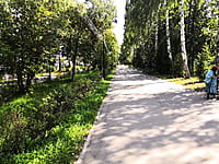 Аллея ветеранов Великой Отечественной войны. 12 августа 2021 (чт).