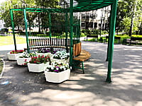 Аллея ветеранов Великой Отечественной войны. 12 августа 2021 (чт).