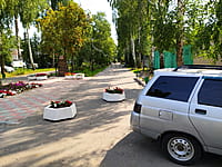 Аллея ветеранов Великой Отечественной войны. 11 августа 2021 (ср).