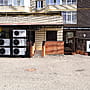 "Цветы 101", цветы.