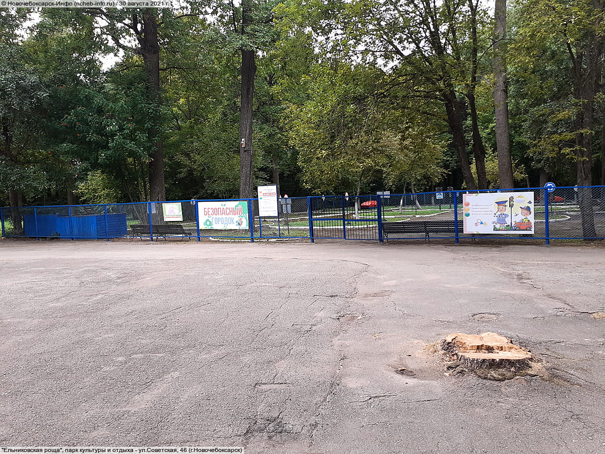"Ельниковская роща", парк культуры и отдыха. 30 августа 2021 (пн).