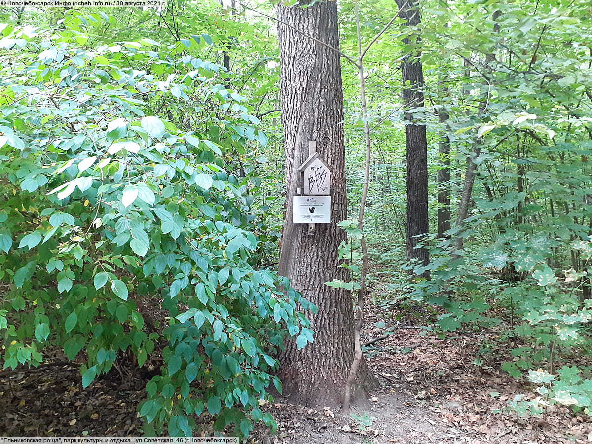 "Ельниковская роща", парк культуры и отдыха. 30 августа 2021 (пн).