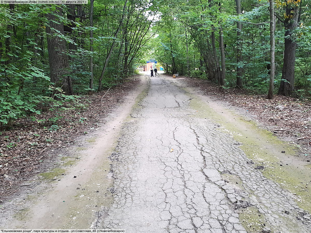 "Ельниковская роща", парк культуры и отдыха. 30 августа 2021 (пн).