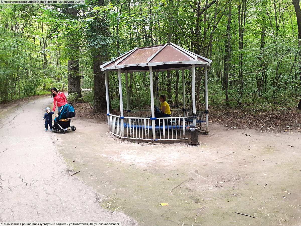 "Ельниковская роща", парк культуры и отдыха. 30 августа 2021 (пн).