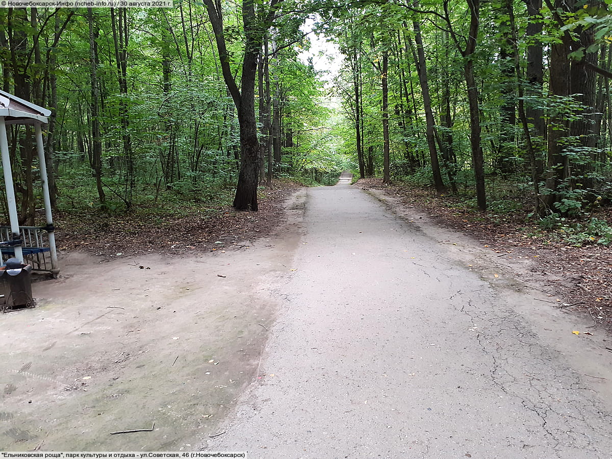 "Ельниковская роща", парк культуры и отдыха. 30 августа 2021 (пн).