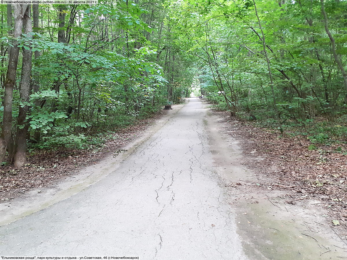 "Ельниковская роща", парк культуры и отдыха. 30 августа 2021 (пн).
