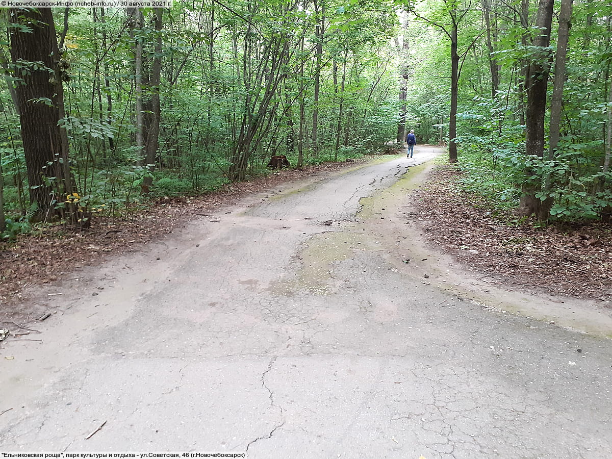 "Ельниковская роща", парк культуры и отдыха. 30 августа 2021 (пн).