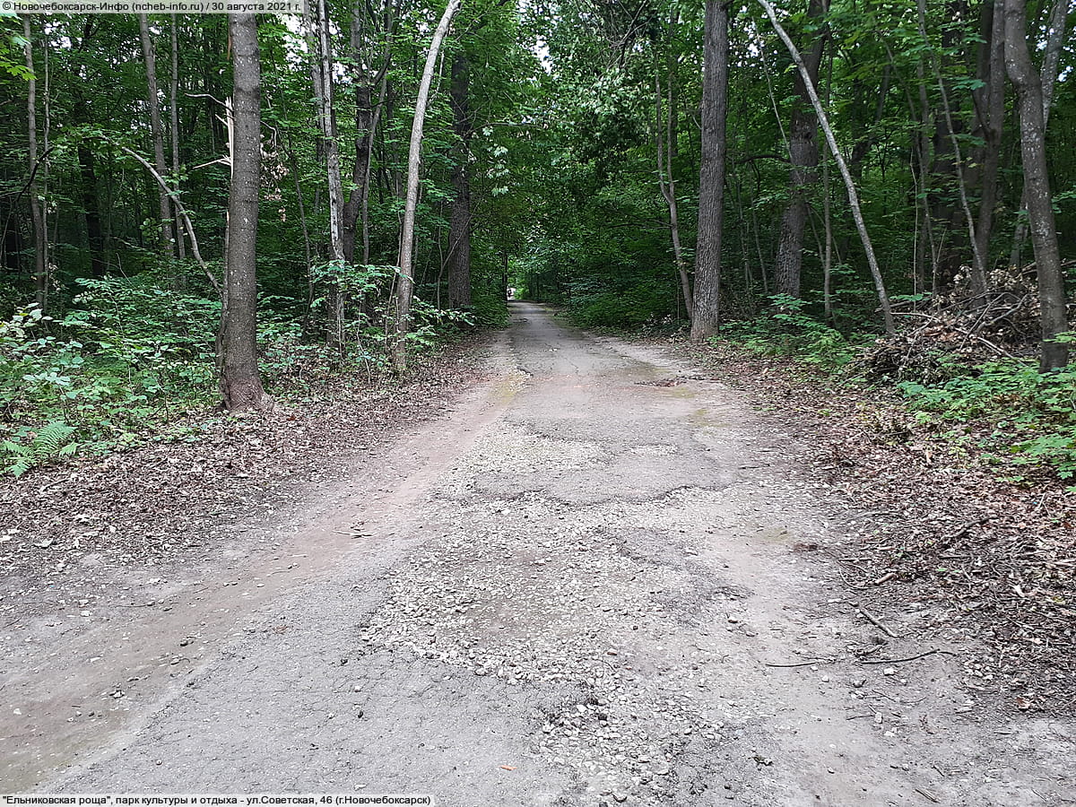 "Ельниковская роща", парк культуры и отдыха. 30 августа 2021 (пн).