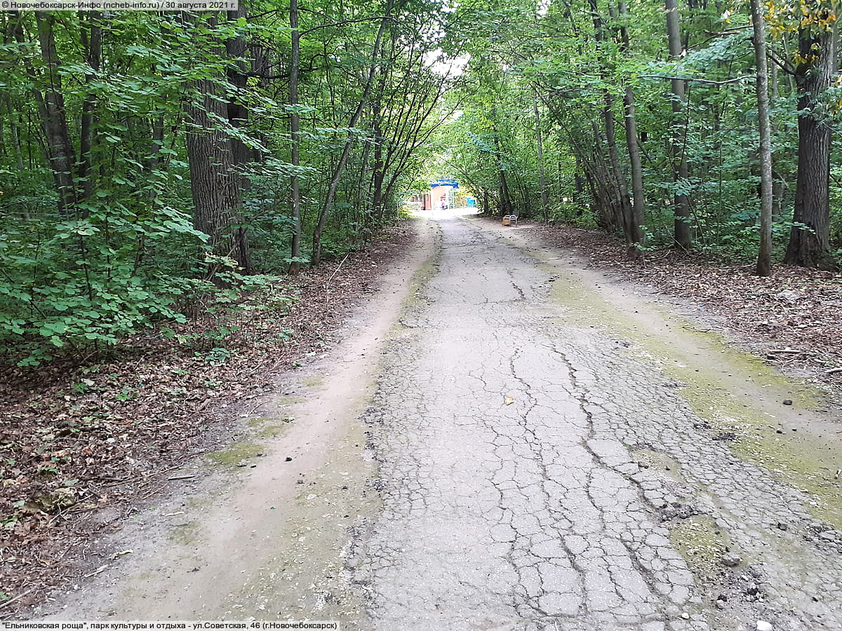 "Ельниковская роща", парк культуры и отдыха. 30 августа 2021 (пн).