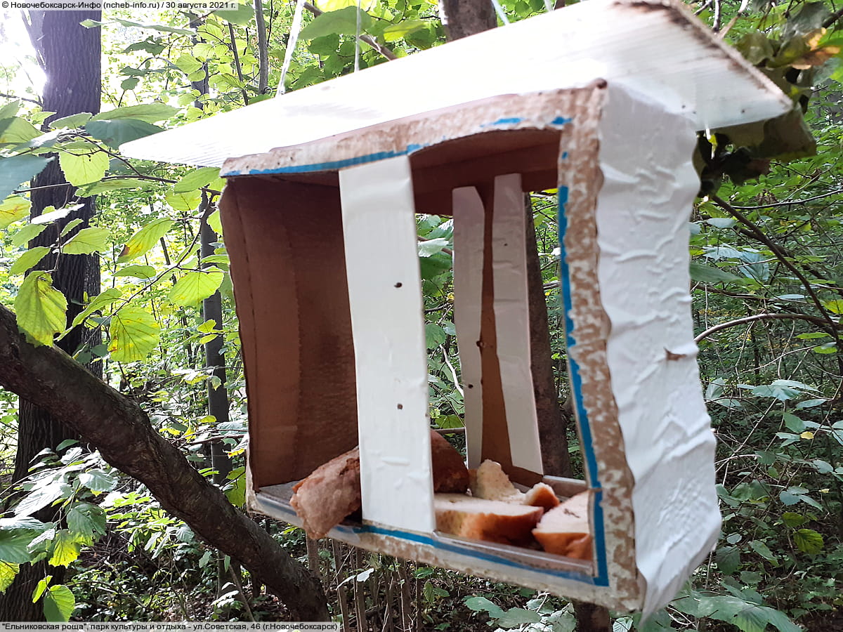 "Ельниковская роща", парк культуры и отдыха. 30 августа 2021 (пн).