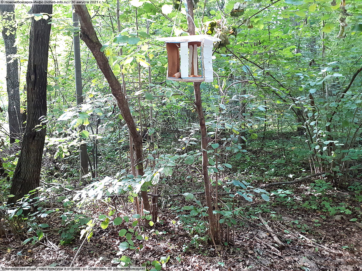 "Ельниковская роща", парк культуры и отдыха. 30 августа 2021 (пн).