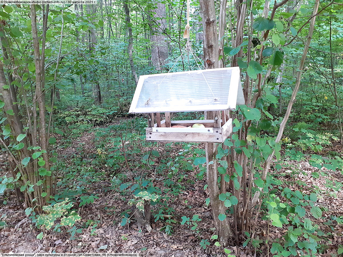 "Ельниковская роща", парк культуры и отдыха. 30 августа 2021 (пн).