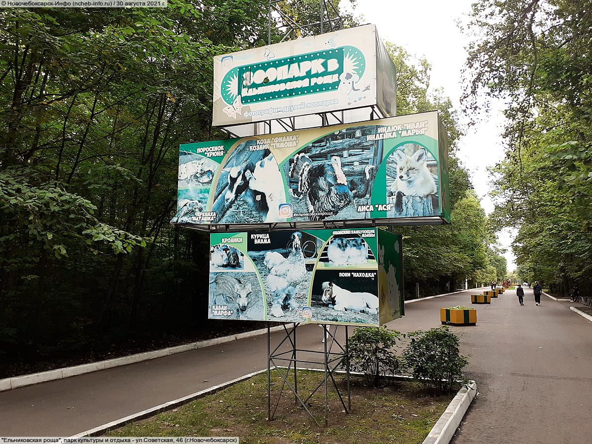 "Ельниковская роща", парк культуры и отдыха. 30 августа 2021 (пн).