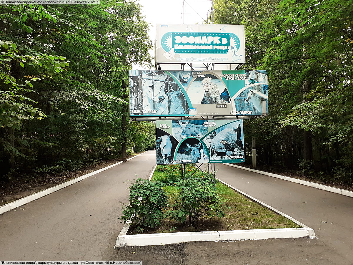 "Ельниковская роща", парк культуры и отдыха. 30 августа 2021 (пн).