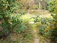 "Ельниковская роща", парк культуры и отдыха. 30 августа 2021 (пн).