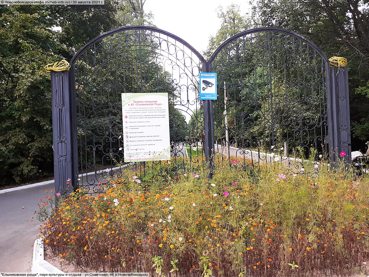 "Ельниковская роща", парк культуры и отдыха. 30 августа 2021 (пн).