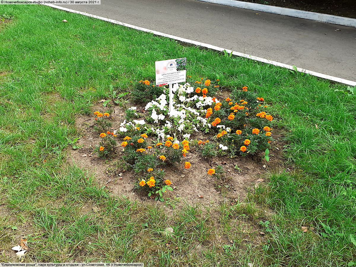 "Ельниковская роща", парк культуры и отдыха. 30 августа 2021 (пн).