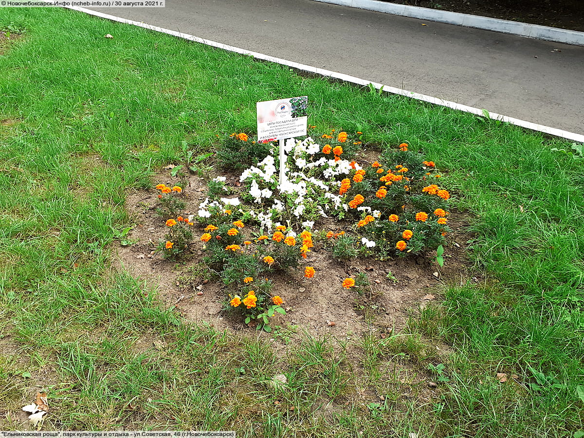 "Ельниковская роща", парк культуры и отдыха. 30 августа 2021 (пн).