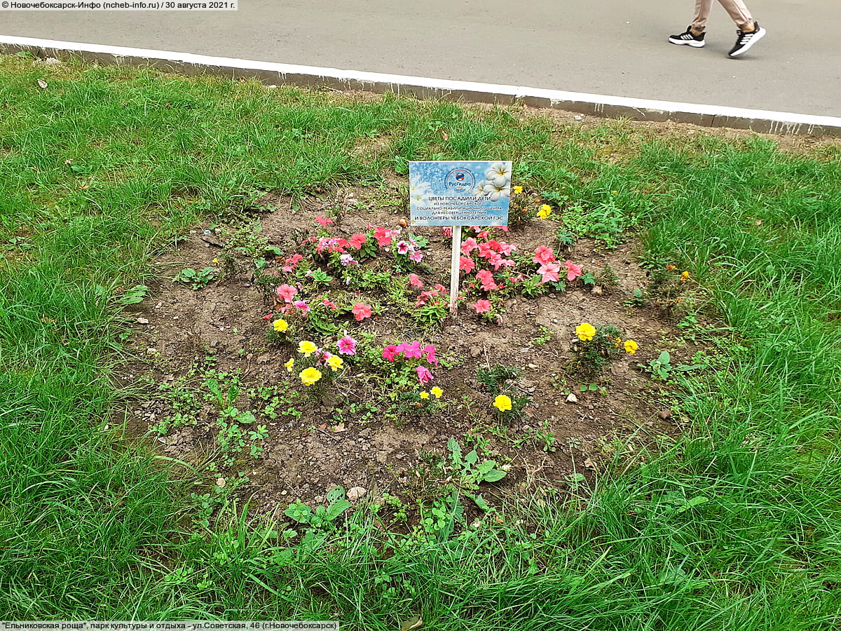 "Ельниковская роща", парк культуры и отдыха. 30 августа 2021 (пн).