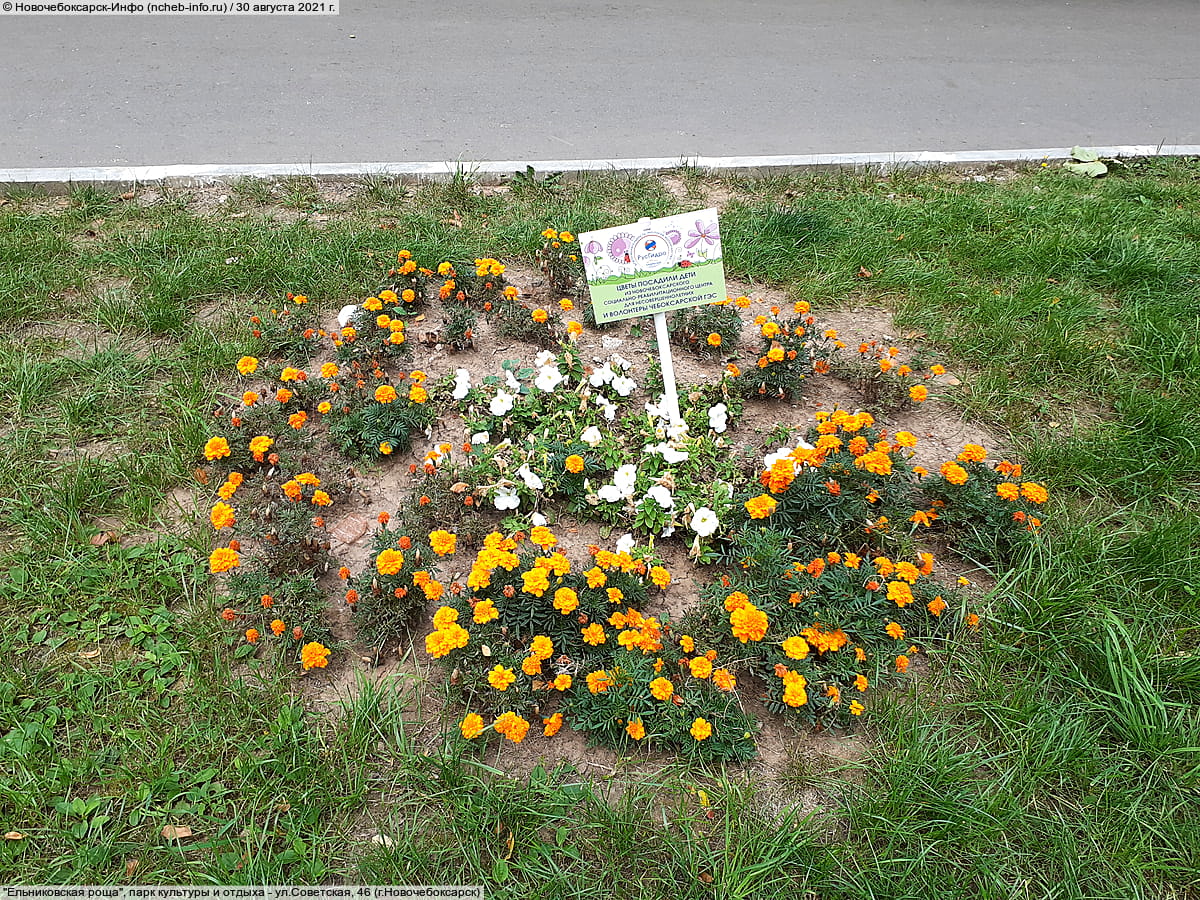 "Ельниковская роща", парк культуры и отдыха. 30 августа 2021 (пн).